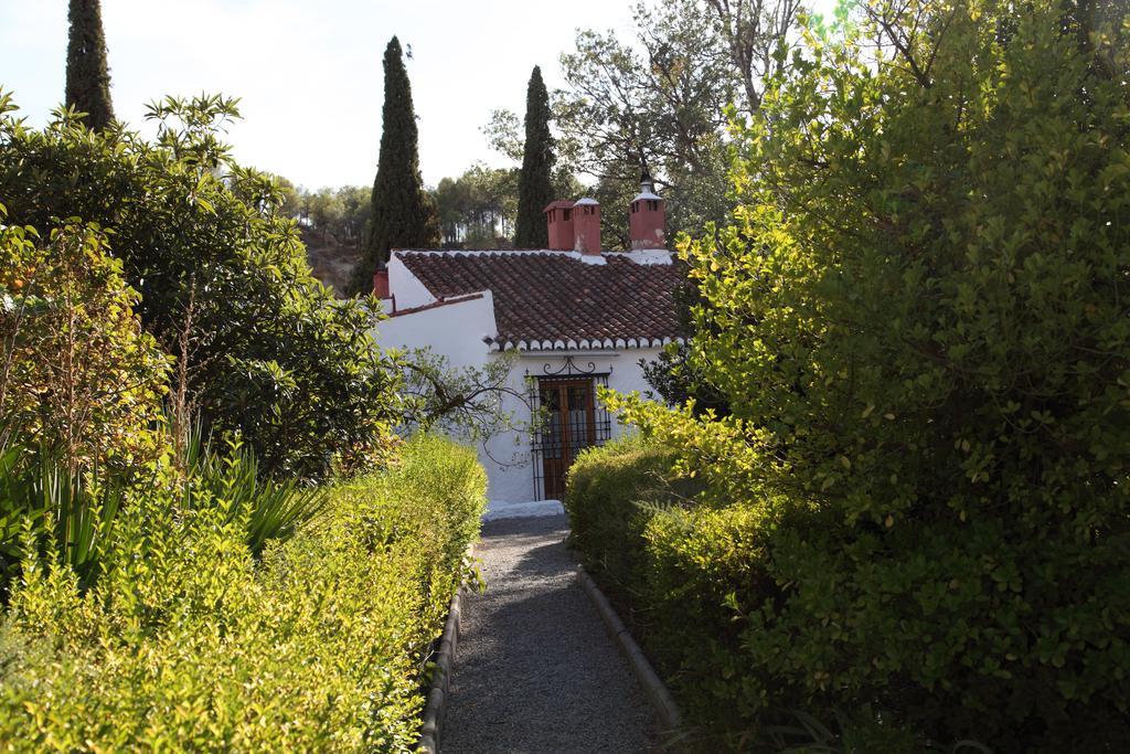 Hotel Casas Cueva Y Cortijo La Tala En Guadix Zewnętrze zdjęcie